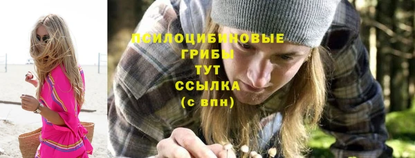 МДПВ Майский
